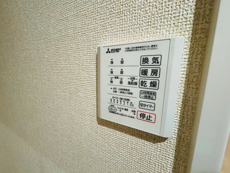 オモト その他36