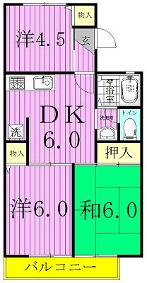 ロイヤルタウン泉A 203号室 間取り