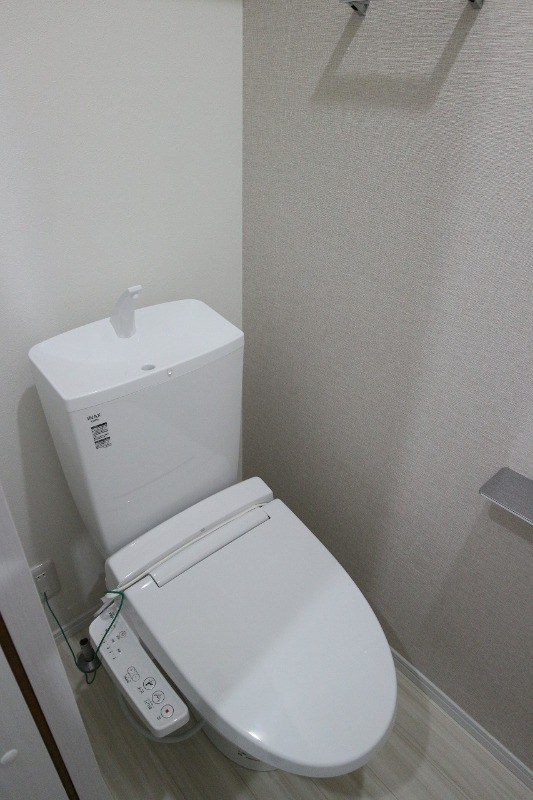 REGALEST 柳 その他1