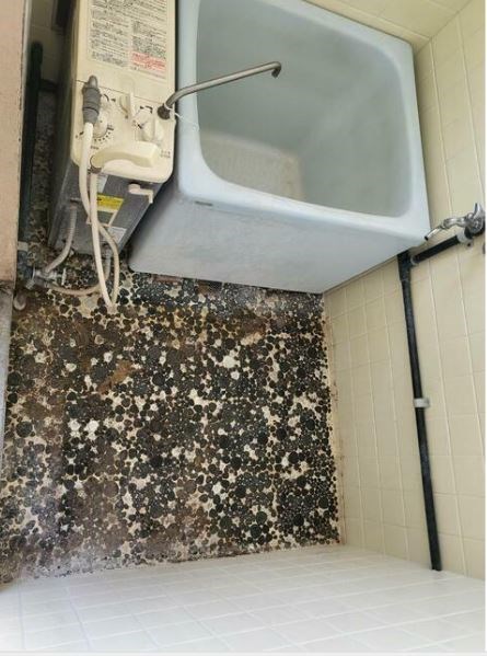 睦コーポ 風呂画像