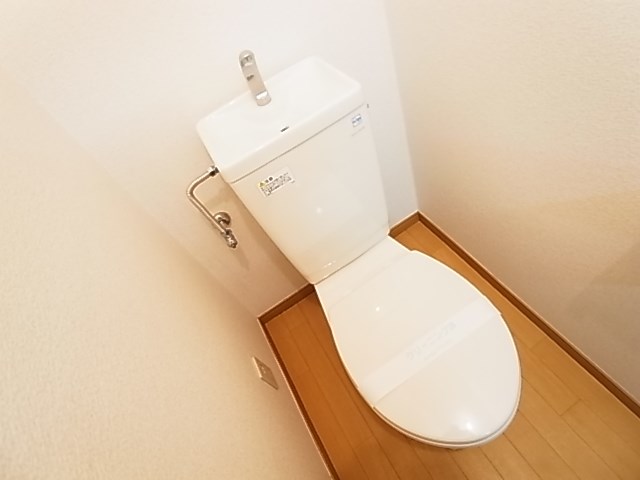 ステラ２１０ その他1