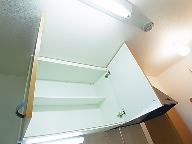 ステラ２１０ その他13