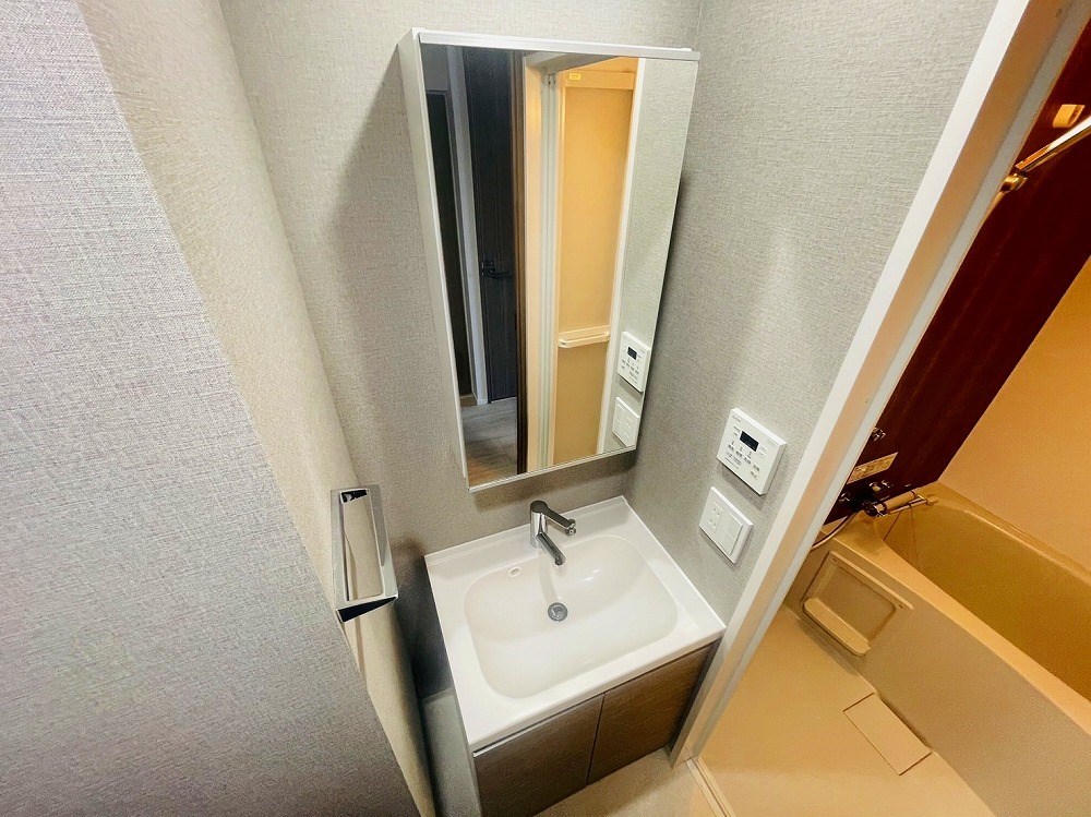 メイクス西新井大師 洗面所