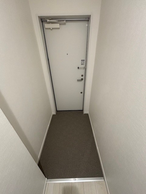 RIZE柏たなかⅡ 玄関