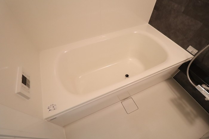 アグライア その他12