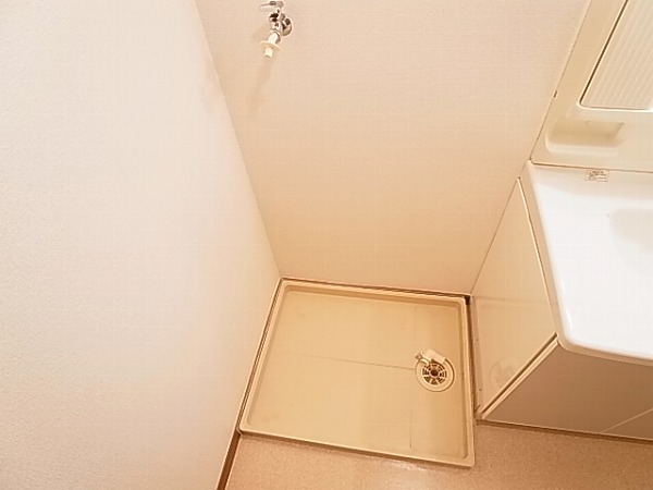 ブロードフォーリスト その他6