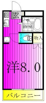 第１１メゾンエステルナ 303号室 間取り