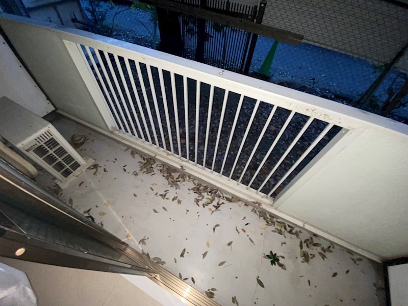 第１１メゾンエステルナ その他11