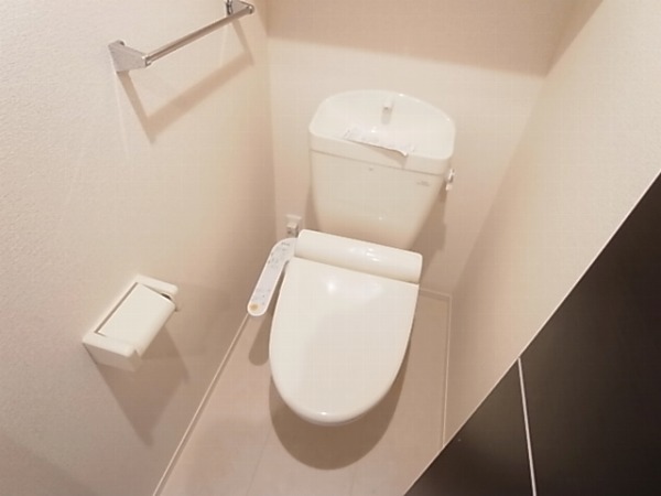 アピオンⅠ その他1