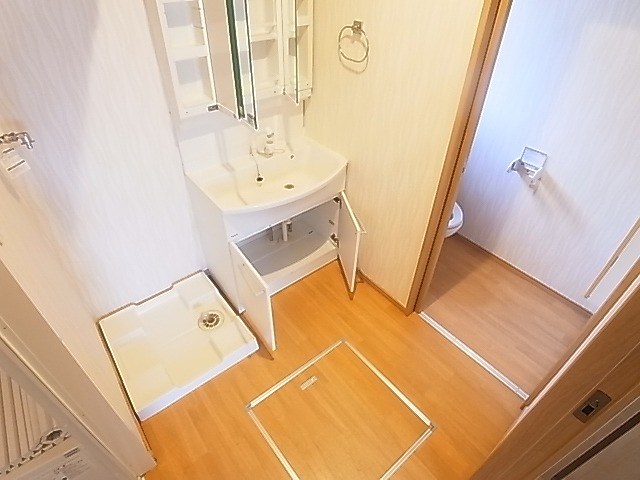 アイリス その他2