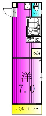 ジュネスベルデ 203号室 間取り