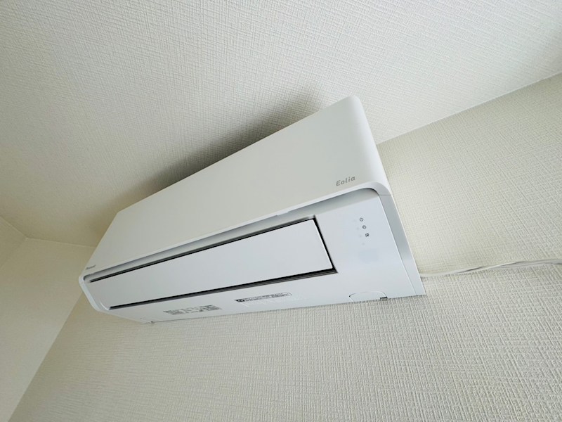 vinosity 柏 その他6