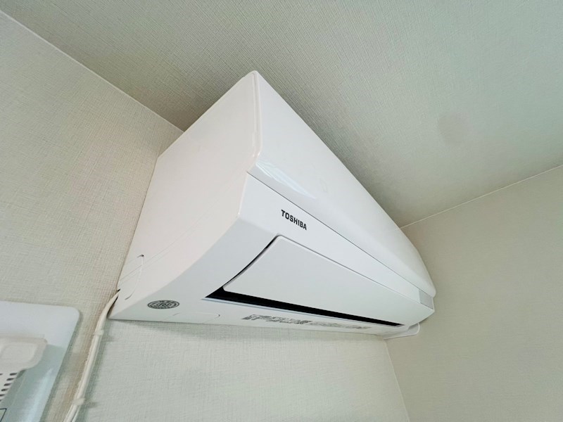 カターラローズ その他3