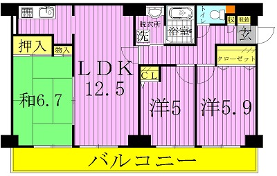 セザン白山 302号室 間取り