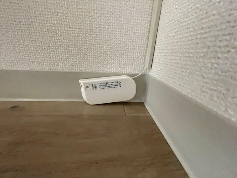 エーデルブルーメビッケ その他20