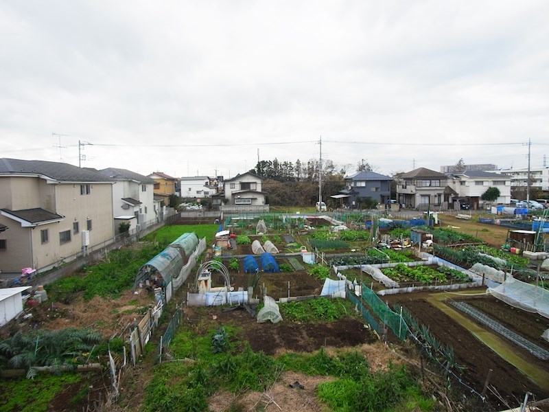 リアン  その他5