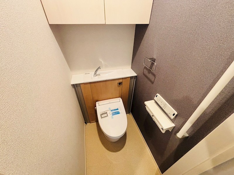 チェリー　クローバー その他1