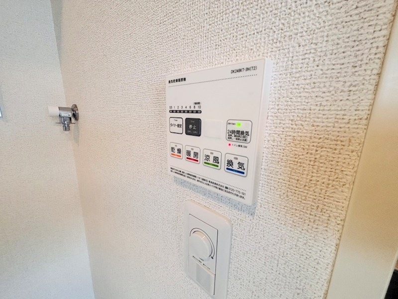 チェリー　クローバー その他6