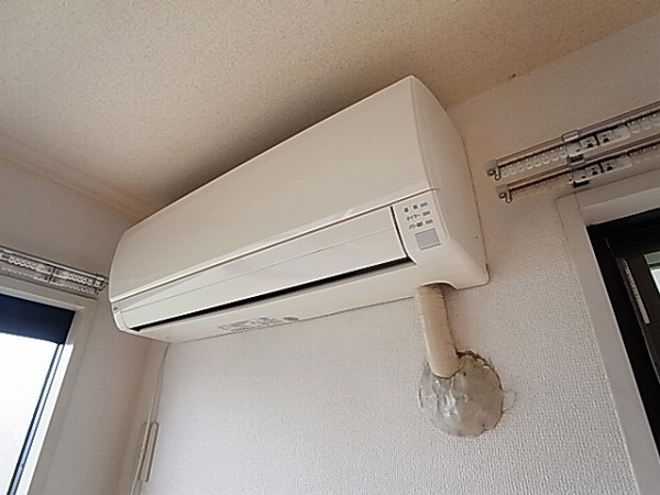 パレス若草 その他6