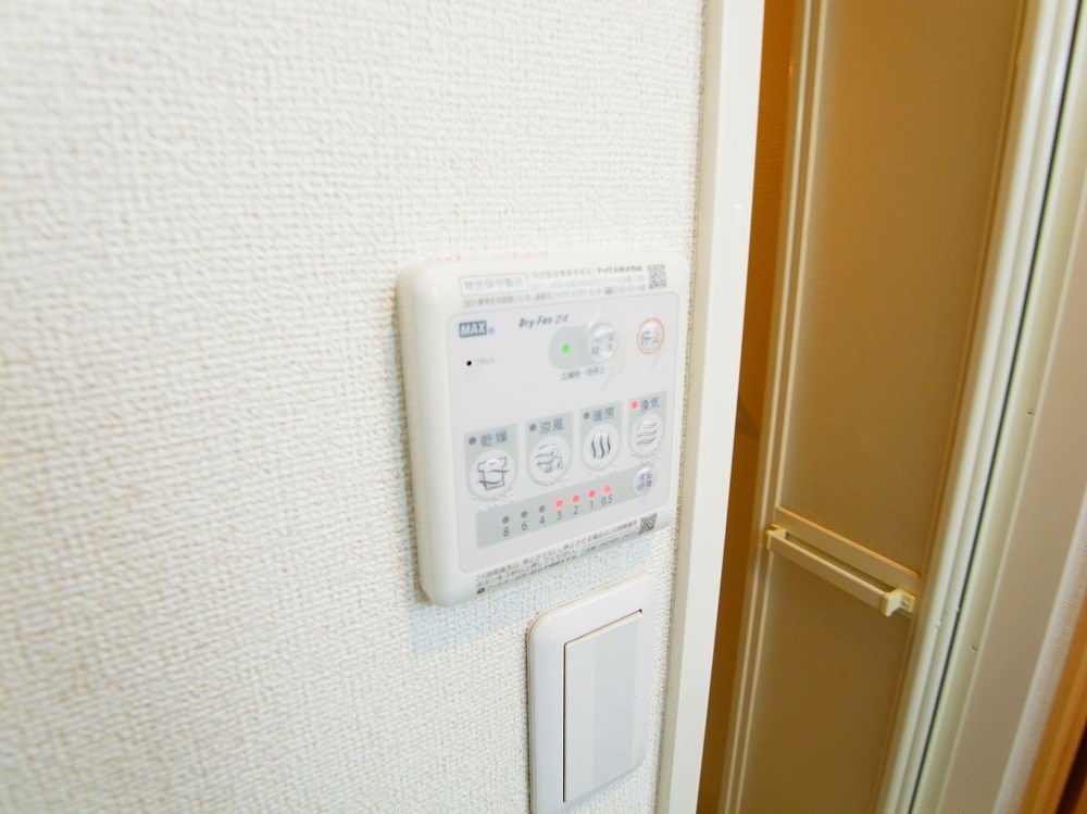 デスパシオ その他5