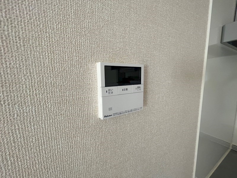 ウィルサクスィード その他30