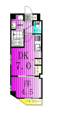 GRAF馬橋 502号室 間取り