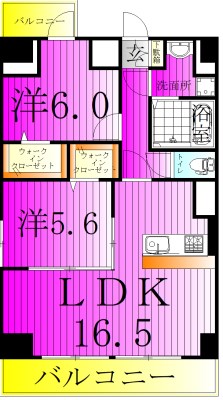 スカイヒルズ 801号室 間取り