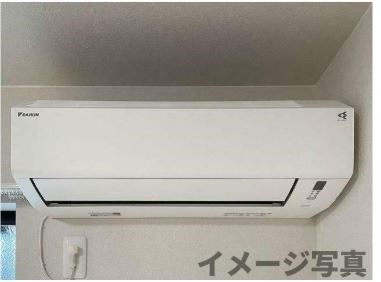 コロレアール　ドラード その他4