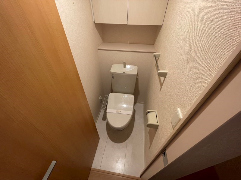 ステラA その他1