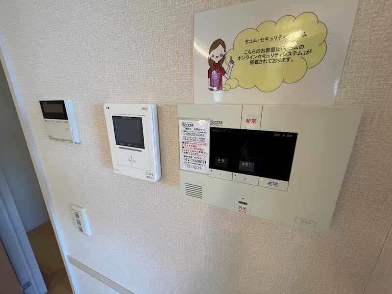 ステラA その他4