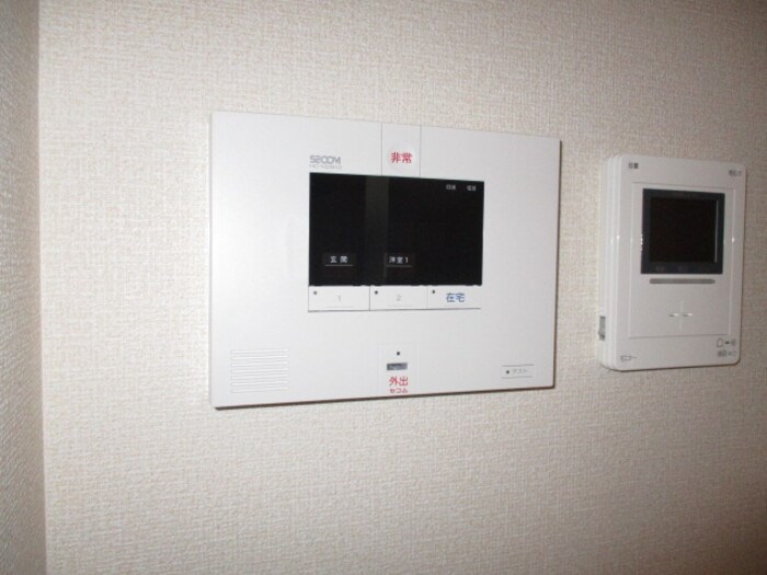 ステラA その他4