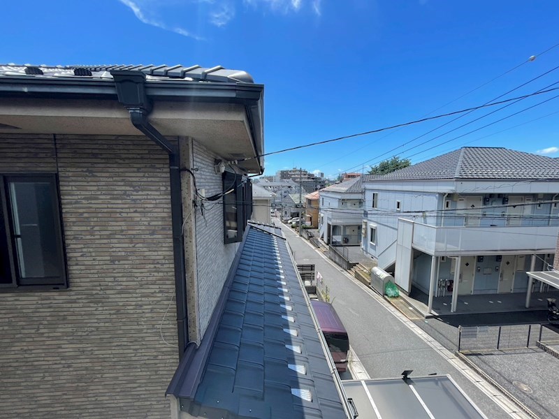 ステラA その他6