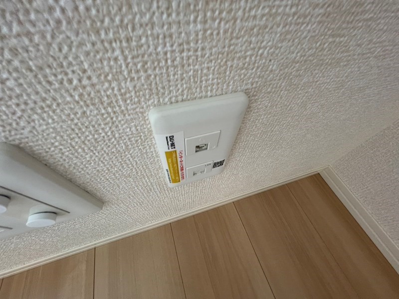 ステラA その他11