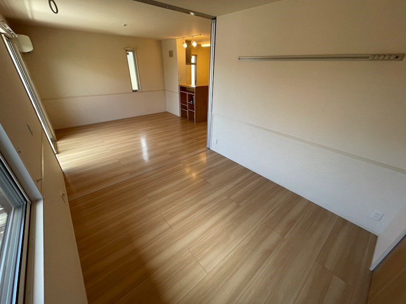 ステラA その他20