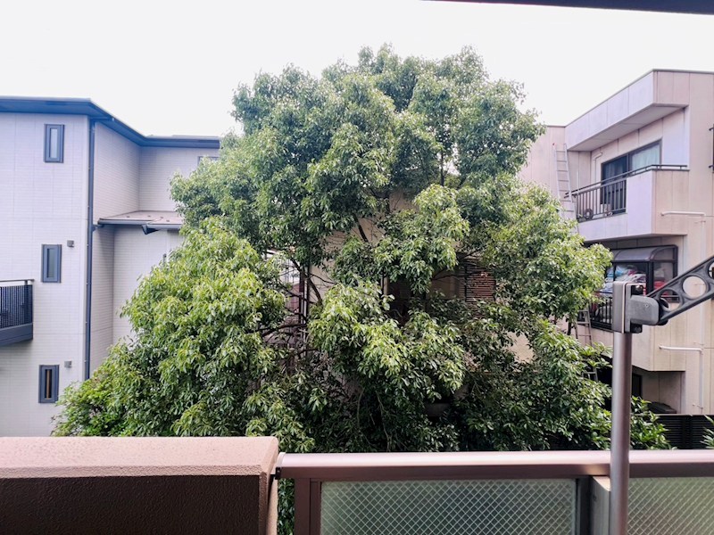 その他6