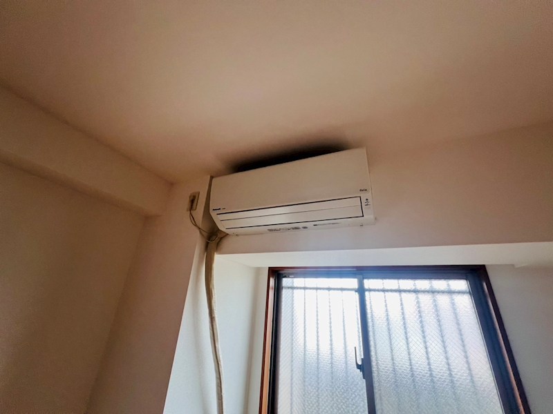 その他11