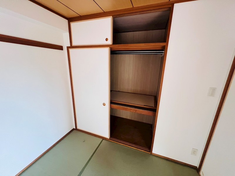 その他29