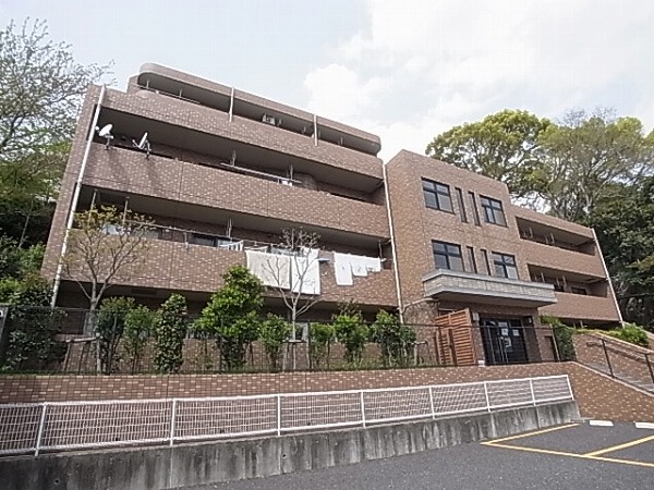 セザン白山 その他外観5