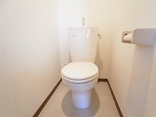 アンプルール　フェールカノン その他1