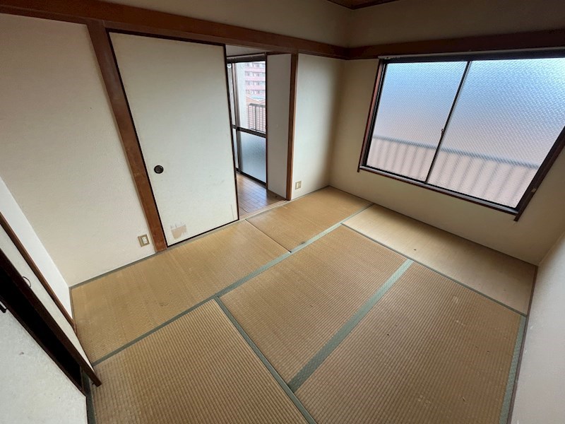 秋桜林 その他1