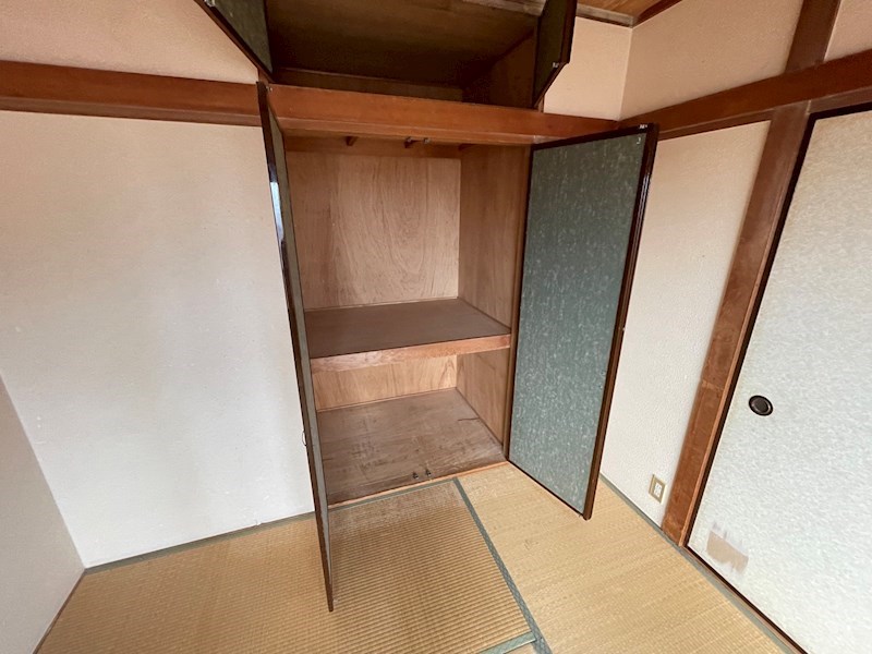 秋桜林 その他4