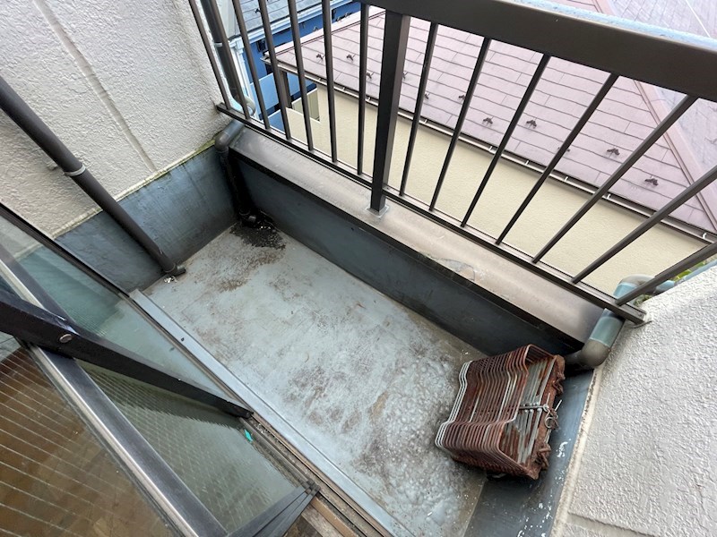 秋桜林 その他15