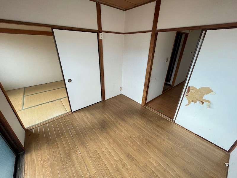 秋桜林 その他25