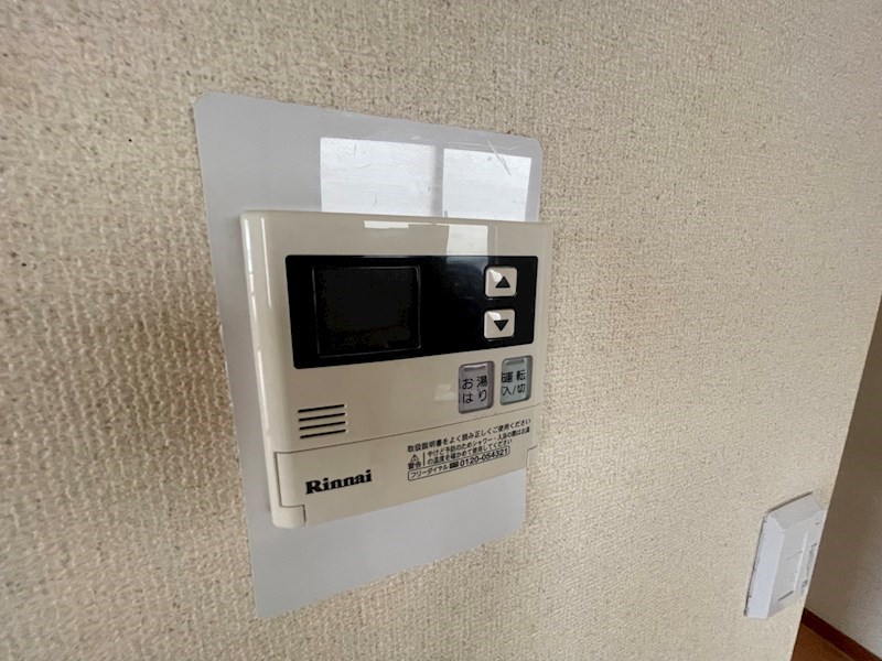 秋桜林 その他27