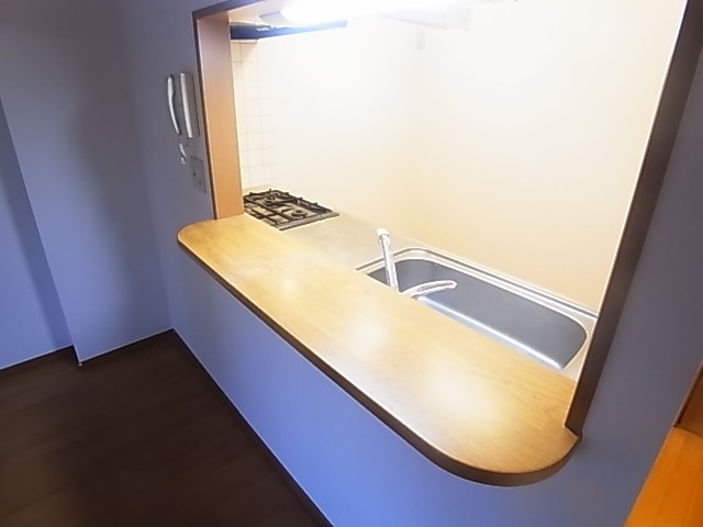 フォルティーヌ皿沼 その他11