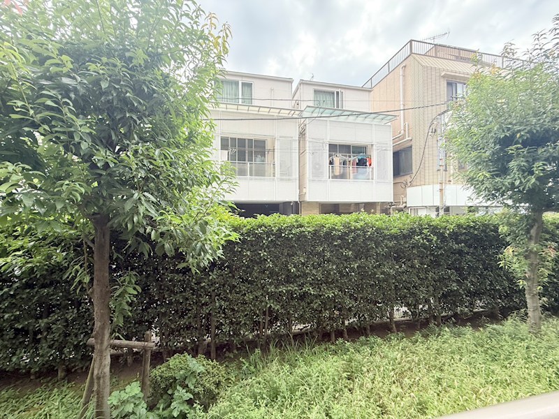 ケイティーズ　クリア その他29