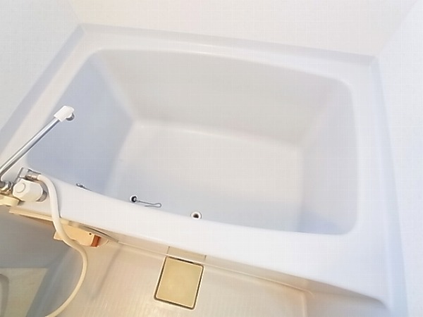 メゾン柏 その他10