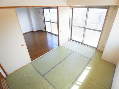 ステラ その他4