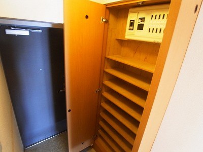 ステラ その他12