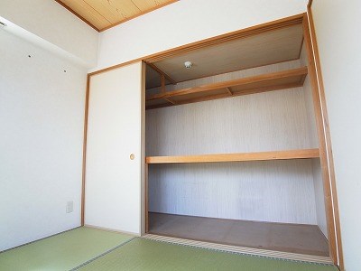 ステラ その他13